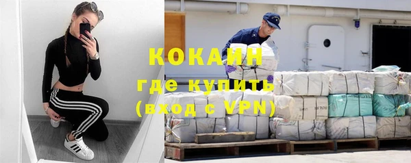 индика Балабаново