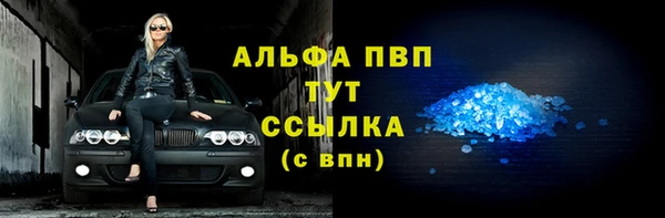 индика Балабаново