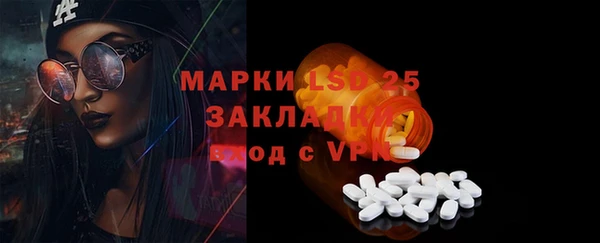 индика Балабаново