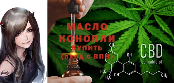 индика Балабаново